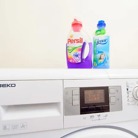 Bohemia بيت شباب